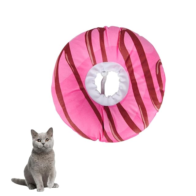 Foto 6 de 8 de Collar de cono ajustable con forma de donut