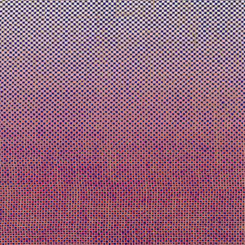 Album Art for Slo-Mo Neon Luminate Hoverings by Ambrose Akinmusire & Mary Halvorson