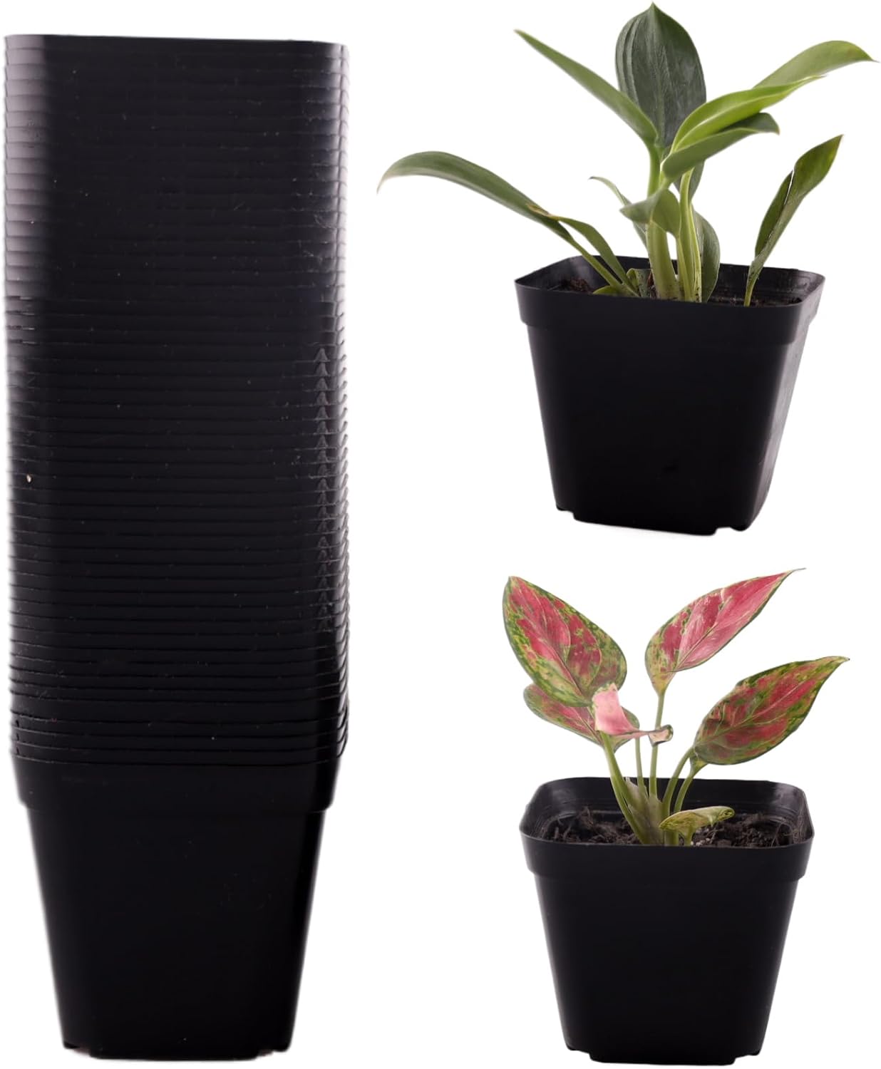 Tulpeed 50 Packs Square Nursery Pots for Plants 4 Inch Succulent Plant Pots Set Plastic Seedling Starting Pots with Drainage Holes Nursery Pots Variety Pack Flower pots Planter Seed Starter, Black