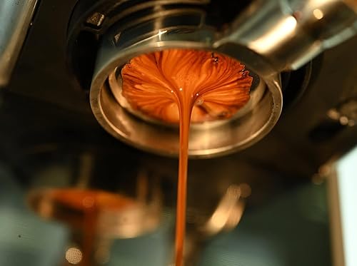 Miniatura 9 de Portafiltro sin fondo de 2.126 in para máquina de café espresso Breville Bambino Plus Barista Express Pro Touch, BES870XL 870BSXL 878BSS 880BSS