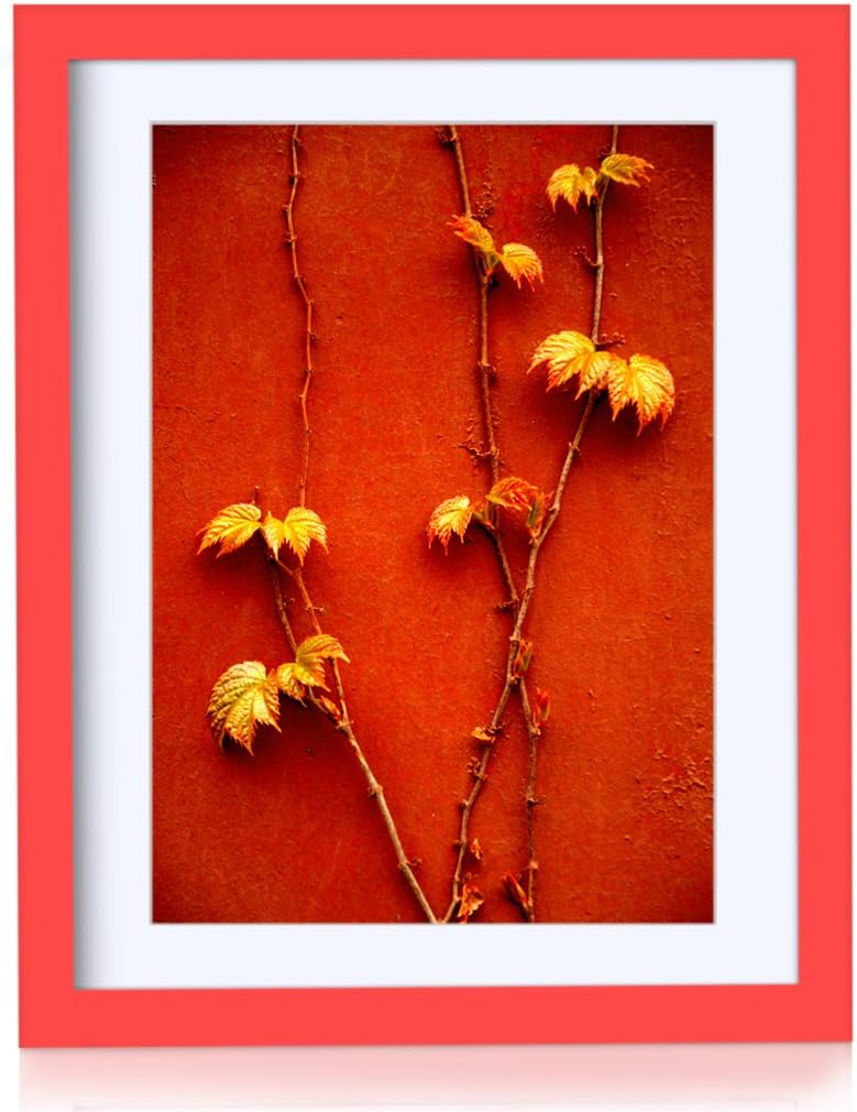 BOJIN 11x14 Red Picture Frames Holds A4 Photo Frame with