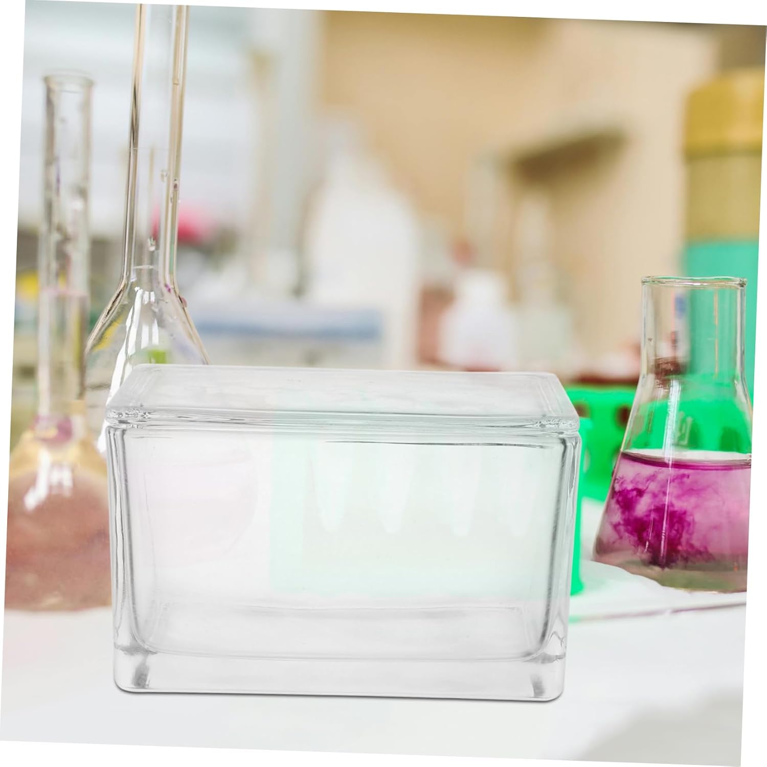 Empty Slide Glass Dyeing Case with Vertical and Horizontal Racks for Microscope Slides High for Science Projects and Laboratory Use Structure for Enhanced Efficiency