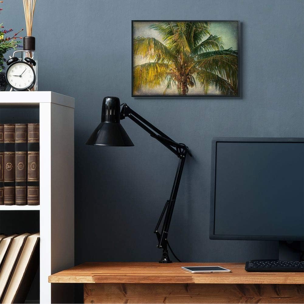 Stupell Industries Distressed Tropical Summer Palm Tree Frond Photograph