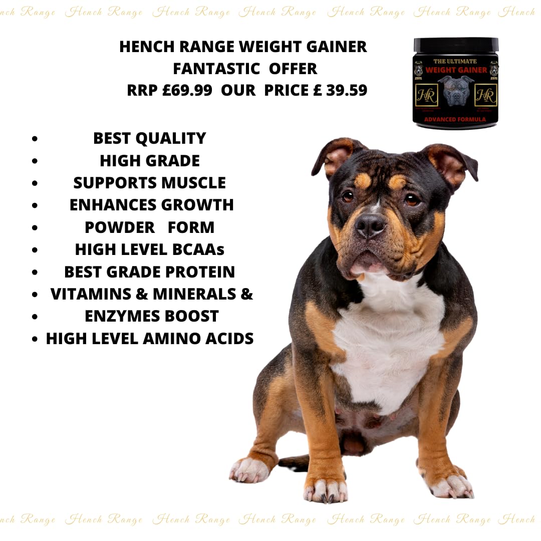 Hench Range Dog Weight Gainer- Healthy Weight Gain Supplement With Natural Ingredients Premium Nutrition for Stronger Leaner Dogs - Image 4