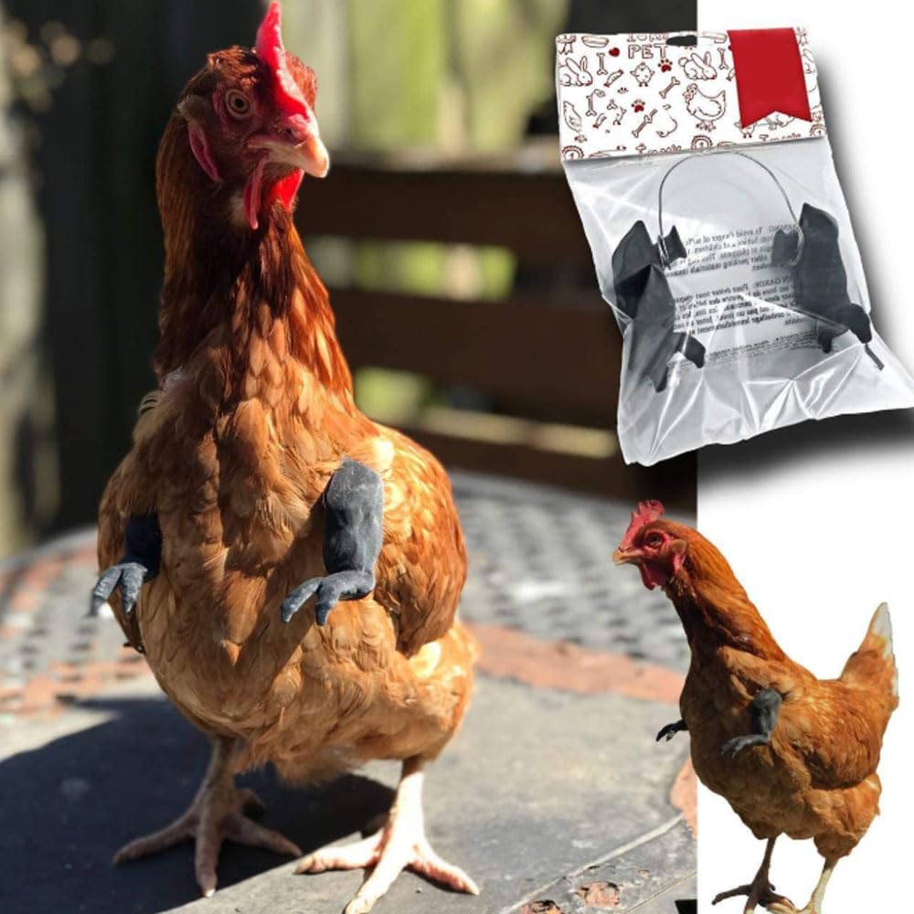 BeNsil 3 Paires de Jouets pour Poulets,Bras Pouvant être Portés sur Les Poulets,Décorations de Membres Antérieurs de Poulet,Accessoires Amusants pour Animaux de Compagnie