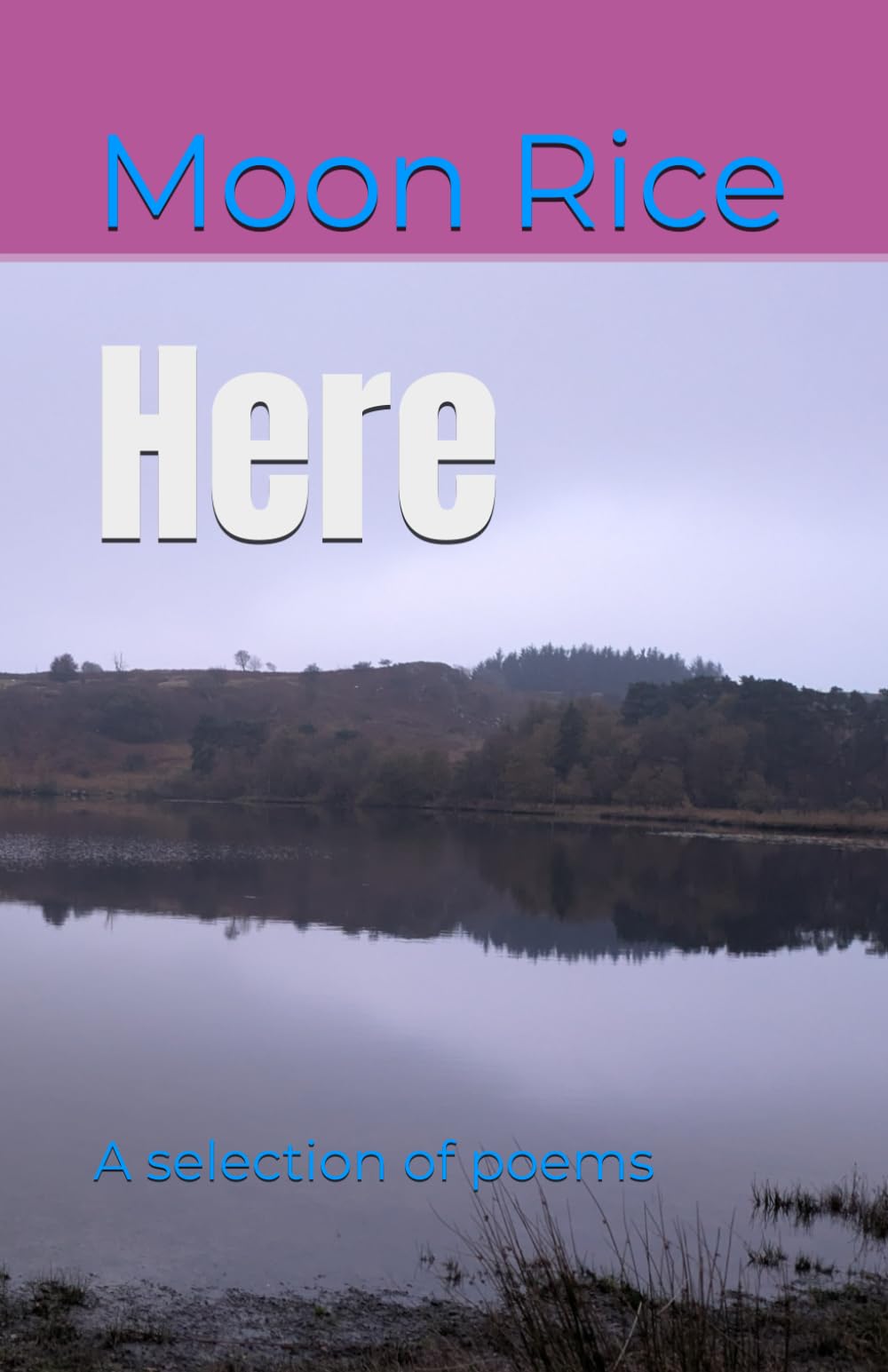 Here: A selection of poems