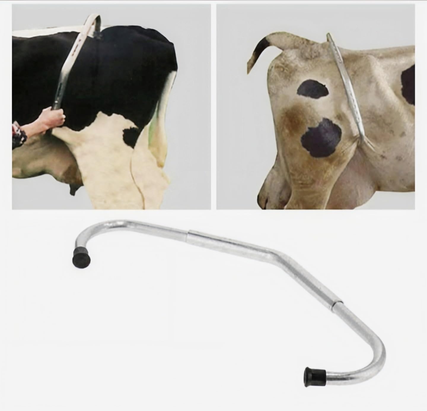 Cow Kick Bar - Dairy Farm Safety Restraint -7 Cow Kick Bar - Dairy Farm Safety Restraint -7