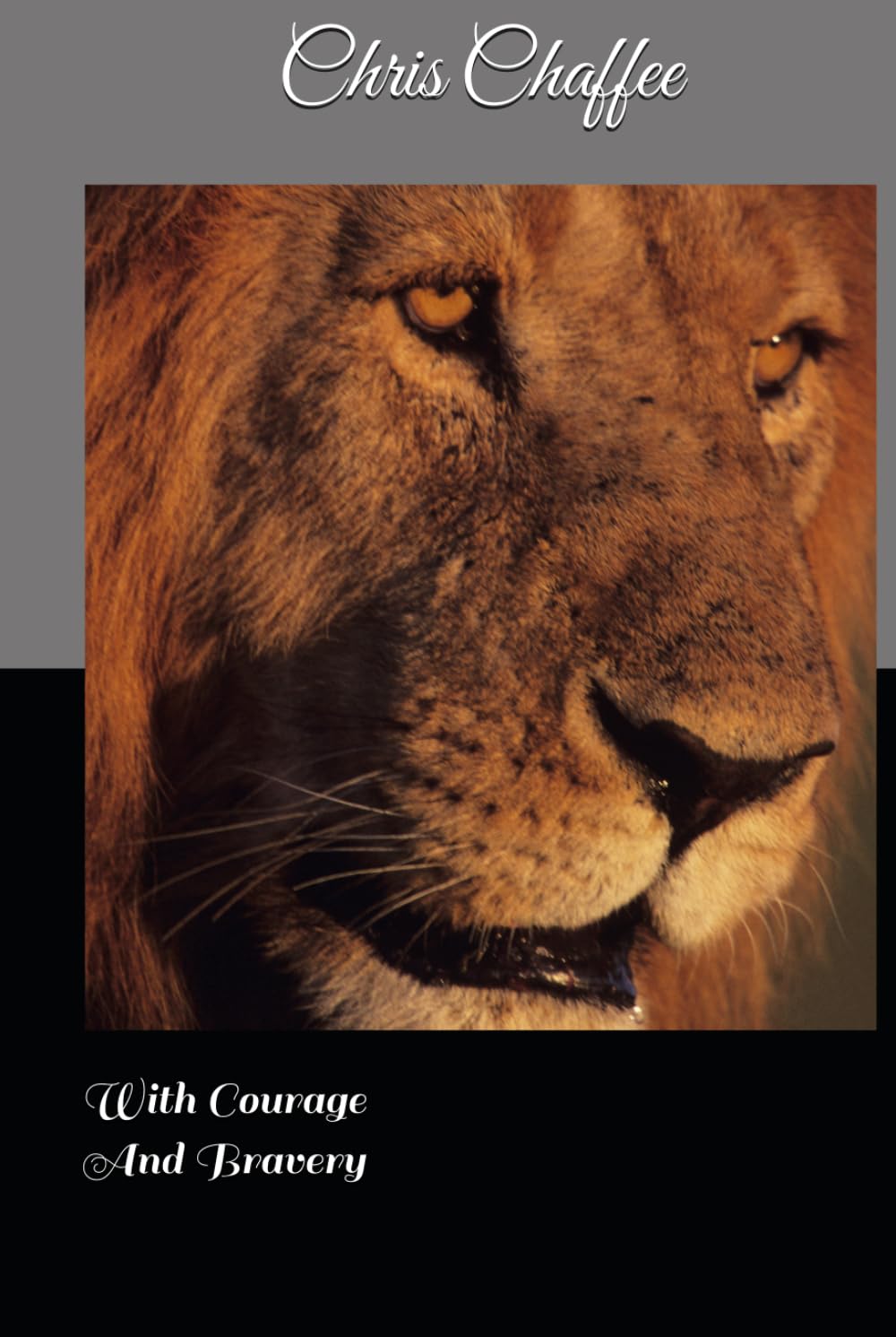 With Courage And Bravery