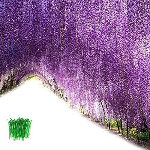 OrgMemory Wisteria Vine, Artificial Flowers, (24 Pcs, 110cm Each, 100Pcs Cable Tie), Flowers Plants Hanging for Wedding Party Garden Decor (Purple)