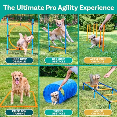 Petcove PC-SWFTPWS-OR-V Dog Agility Course Backyard Set thumb #4