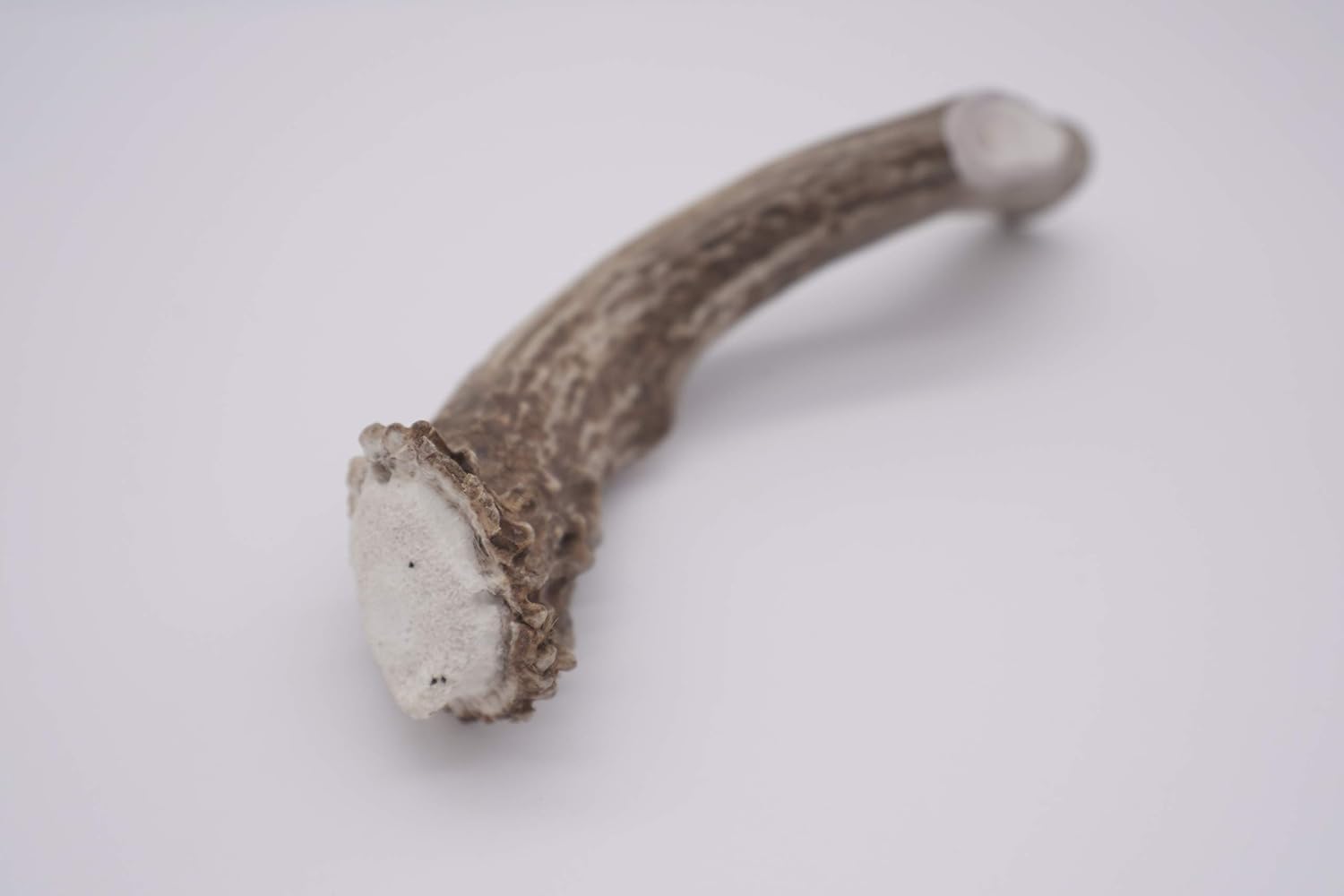 Mammoth Whole Deer Antler - Deer Antler Dog Chew - Grade A Premium - Organic - Made in USA - No Mess