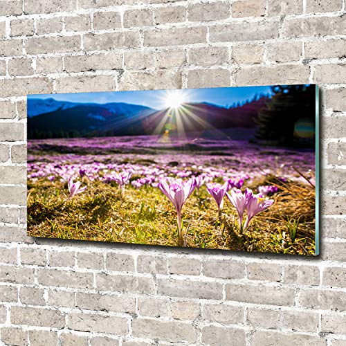 Tableau verre plastique 140x70 incassable pour décorer sans risque - 3