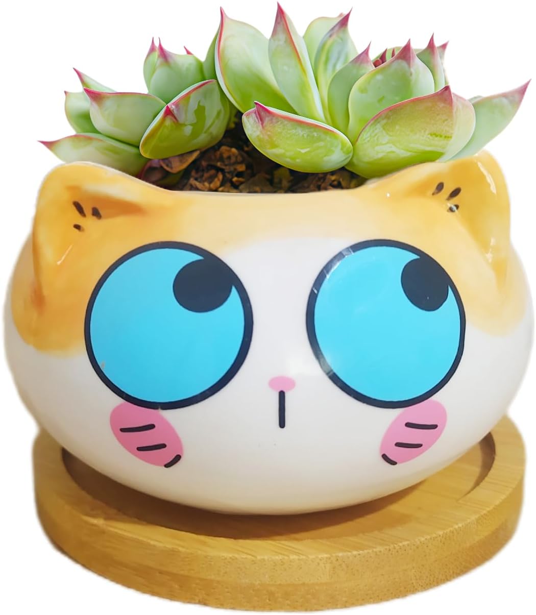 Cuteforyou Cute 3.5 Inches Indoor Cartoon Animal Cat Shaped Ceramic Succulent Cactus Flower Plant Pots with Bamboo Tray-Plant Not Included (6 Corlors)