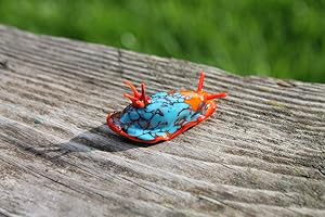 Bunny-Themed Nudibranch Sea Slug-Glass Sculpture