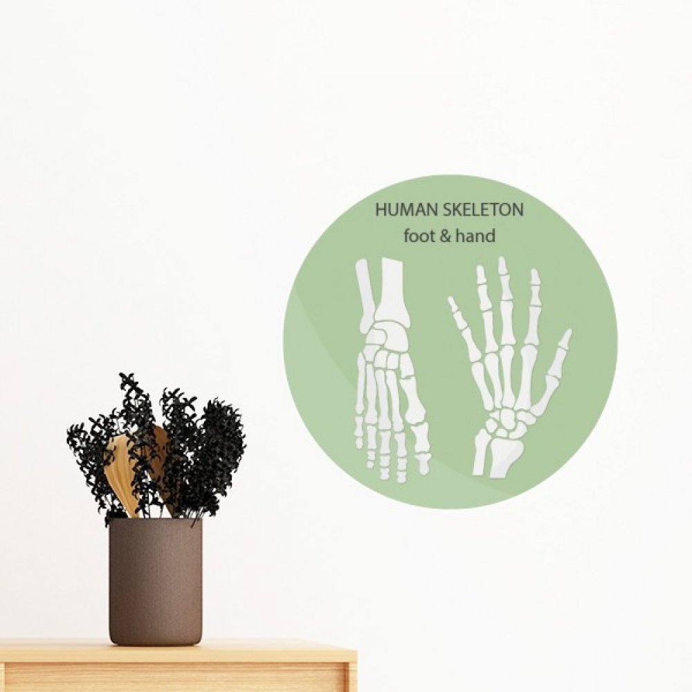 Sticker squelette humain main et pied repositionnable