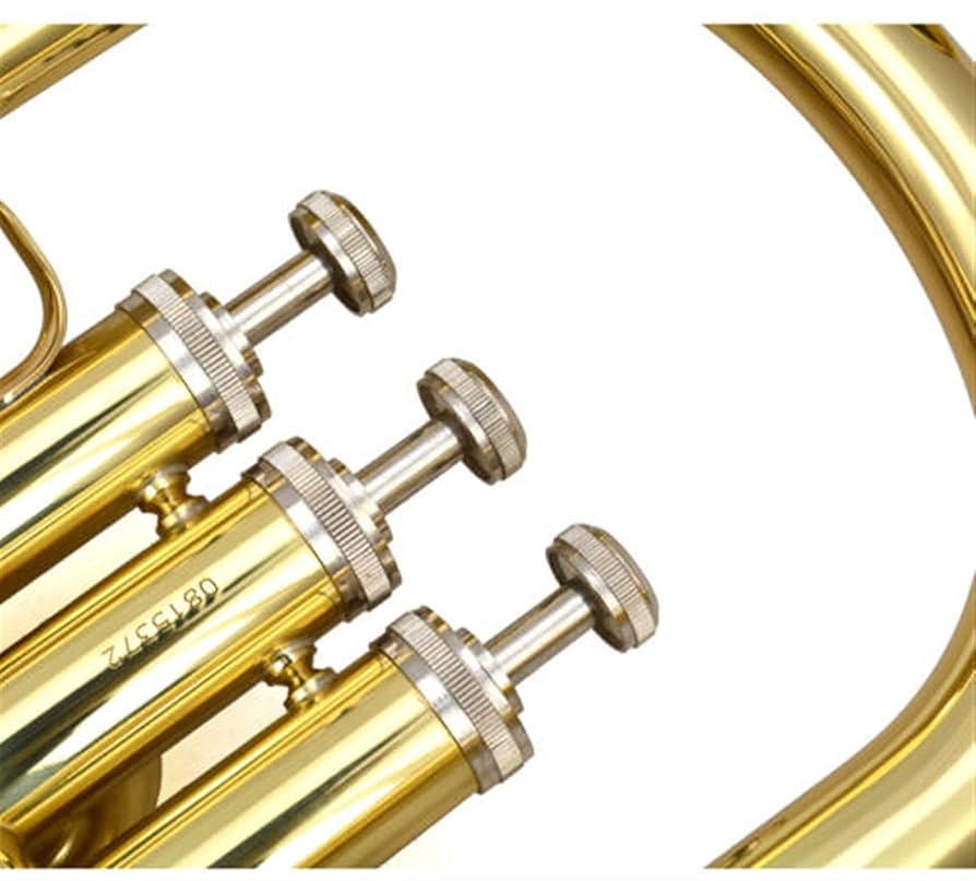 ユーフォニアム バリトン　ゴールド ケース付き Amazon.co.jp: 金管ユーフォニアム ケース付きの高級3ピストン