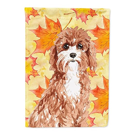 Caroline's Treasures CK1844GF herfstbladeren Cavapoo vlag tuin maat, klein, veelkleurig