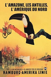 Toucan Bird In Tree Tropical Jungle Amazon River North America Ship Boat Vintage Travel Ad Advertisement Cool Wall Art Print Poster 24x36
