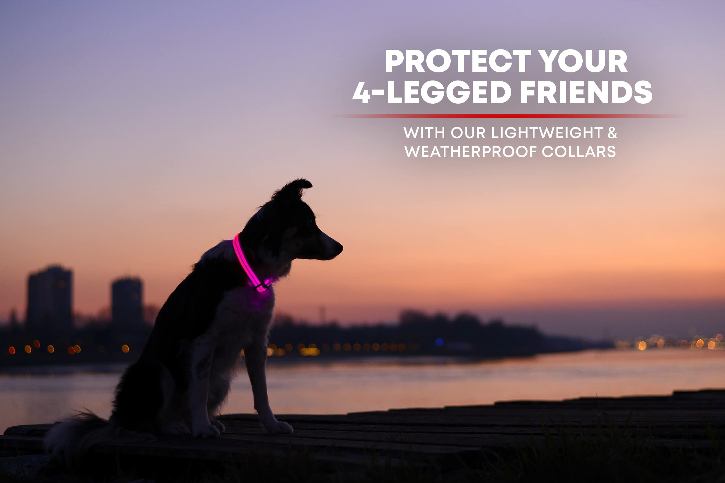 Collar LED para perro, recargable por USB, disponible en 6 colores y 6 tamaños, hace que tu perro sea visible, seguro y visto, rosa, extragrande (21.6 – 27.5 pulgadas/55 – 70 cm)