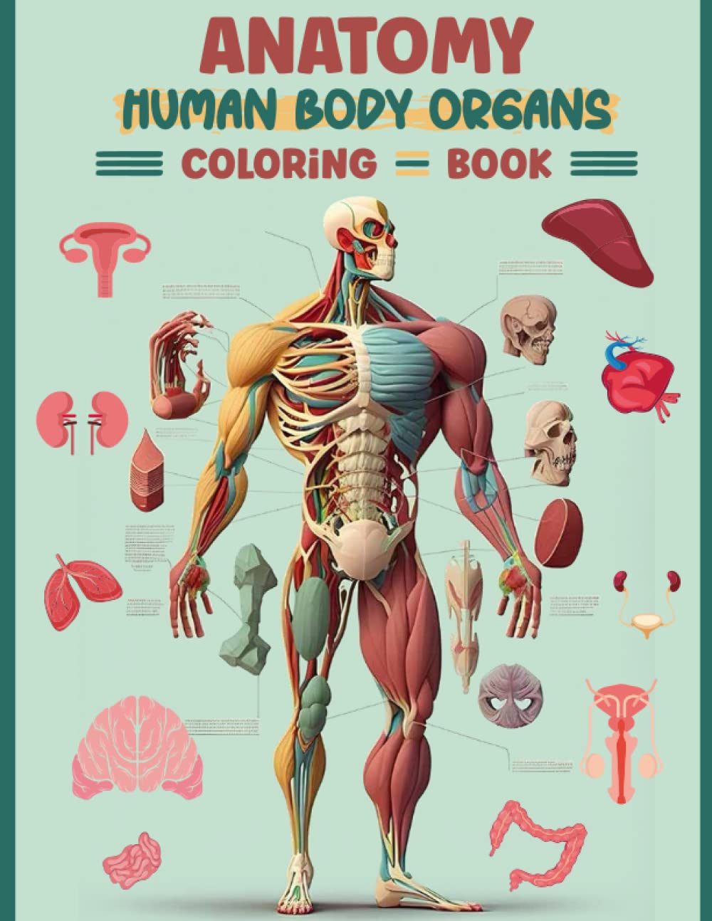 Anatomy Human Body Organs Coloring Book Human Body Organs Coloring