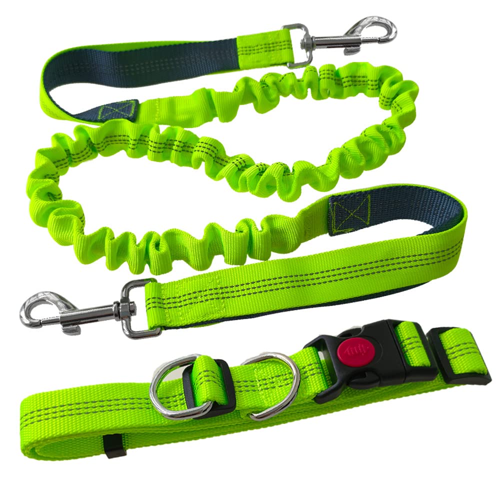 Aiqeer Correa Perro Manos Libres Verde, Cinturón de Cintura Ajustable y Correa Elástica Retráctil, Correa Perros Trotar con Costuras Reflectantes (Manija Gris)