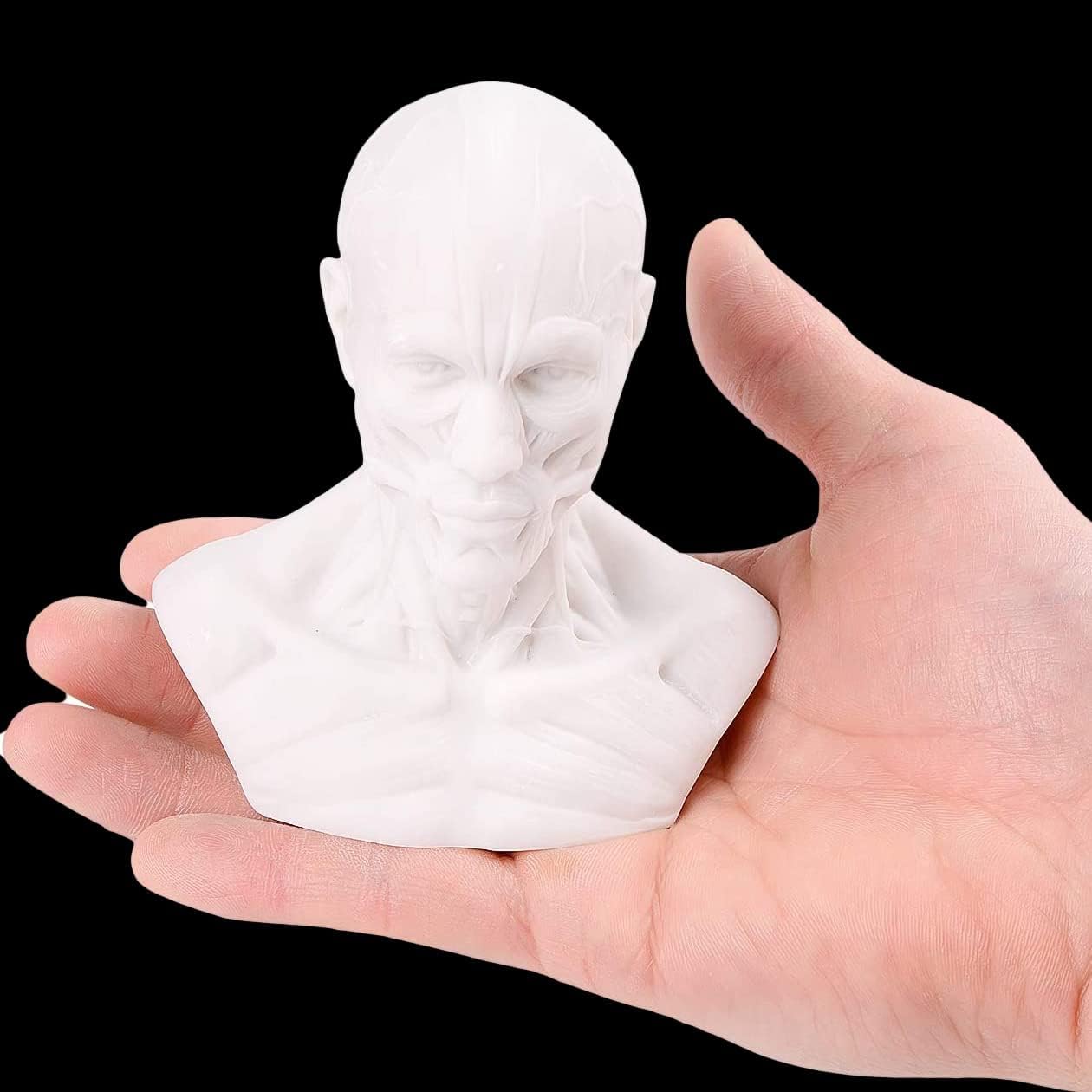 Human Bust Sculpture Statue Resin Sketch Draw Plaster Cast Artist Model Decor