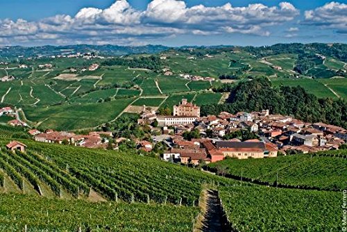 Amazon.co.jp: お誕生日のプレゼントに最適！Barolo 1967 Marchesi di