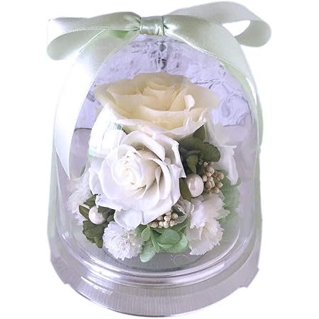 Amazon プリザーブドフラワー 花 アレンジメント ドーム 結婚祝い お供え ラッピング クリアケース 白 プリザーブドフラワー オンライン通販