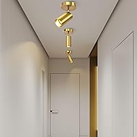 Vista 6 de Lámpara de techo de iluminación de pista, lámpara de techo dorada, focos Gu10, ajuste de ángulo interior, lámpara de pared moderna para sala
