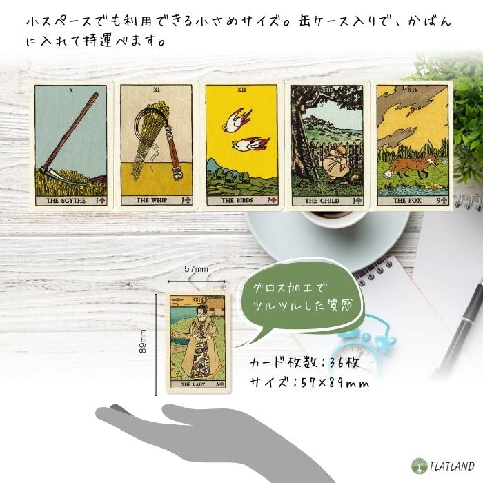 Amazon.co.jp: 【缶ケース入り】ピクシーズ アスタウンディング