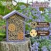 Nature's Way Bird Products PWH1-B Bee House, Purple