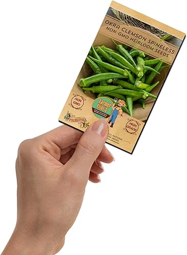 Miniatura 2 de Okra Clemson Spineless Seeds - Semillas de Okra de reliquia sin OMG para plantar jardín en casa, paquete de 50 semillas vegetales polinizadas