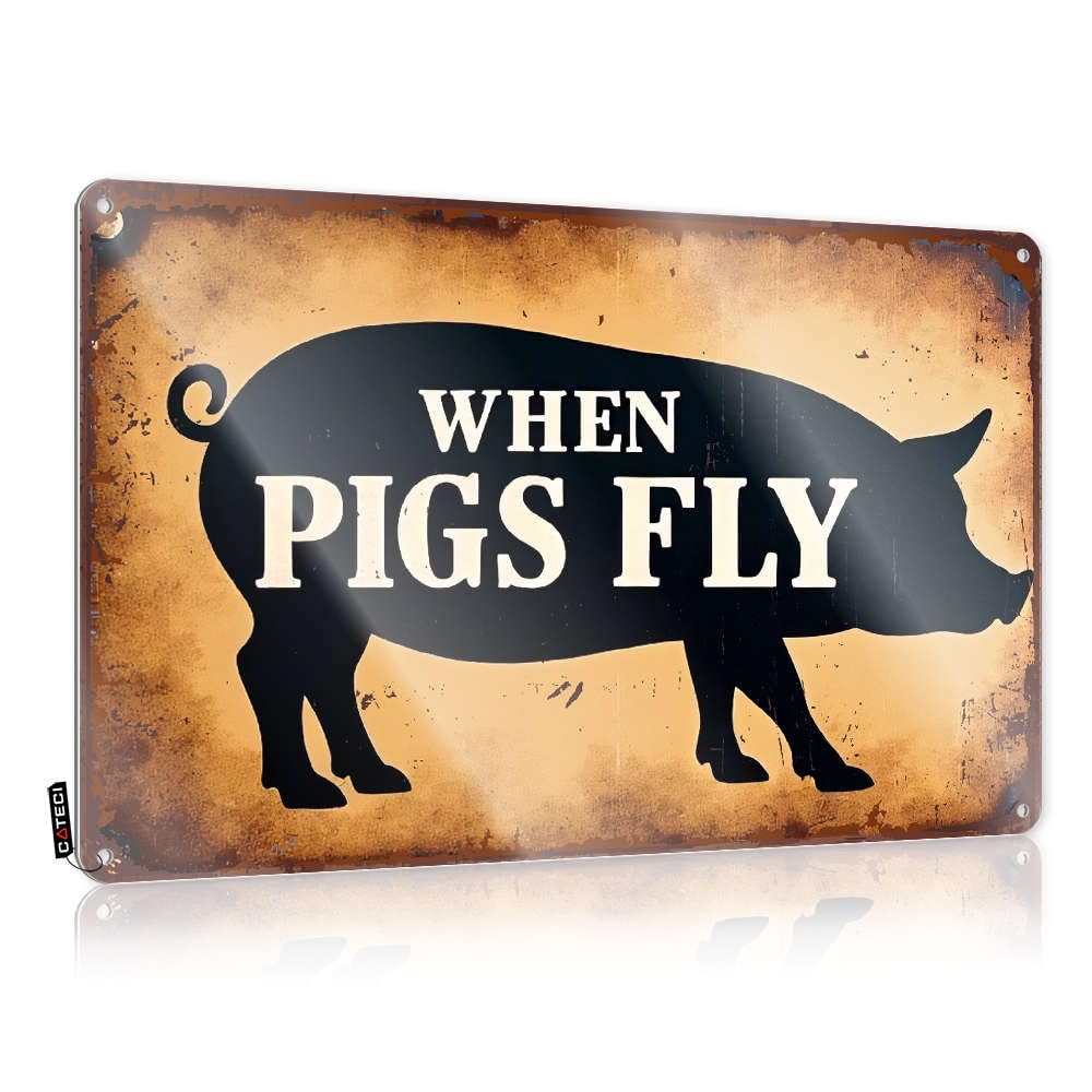 Sujd Colour Metal Wall Decoration Clock Wall Decor | When Pigs Fly. Classic For Beach Home(30X40cm)