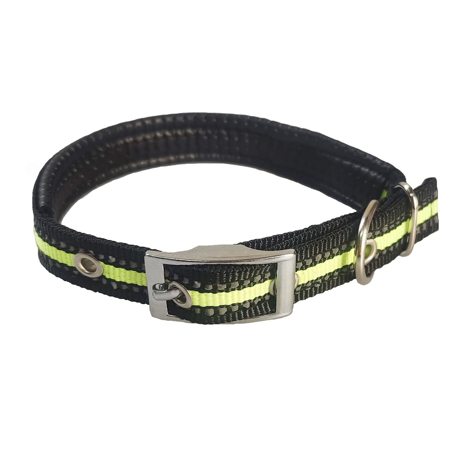 Sunny Sand Sea Sport Dog Collar Sturdy Flat Buckle Glow in The Dark Antistatic Foam Nylon Pet Collars Adjustable Personalized Training Collar for Small/Medium/Large Dogs (S, Green)