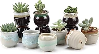 T4U Small Ceramic Succulent Pots with Drainage - Set of 12, Mini Pots fo...