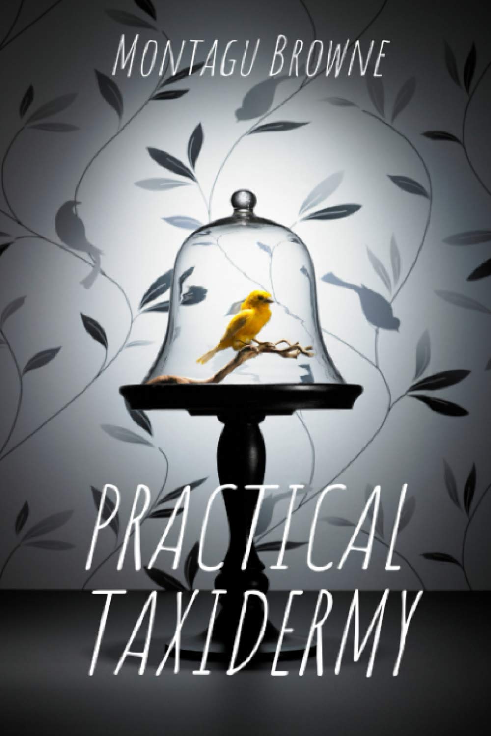 Practical Taxidermy: A comprehensive guide to collecting and preserving natural history specimens