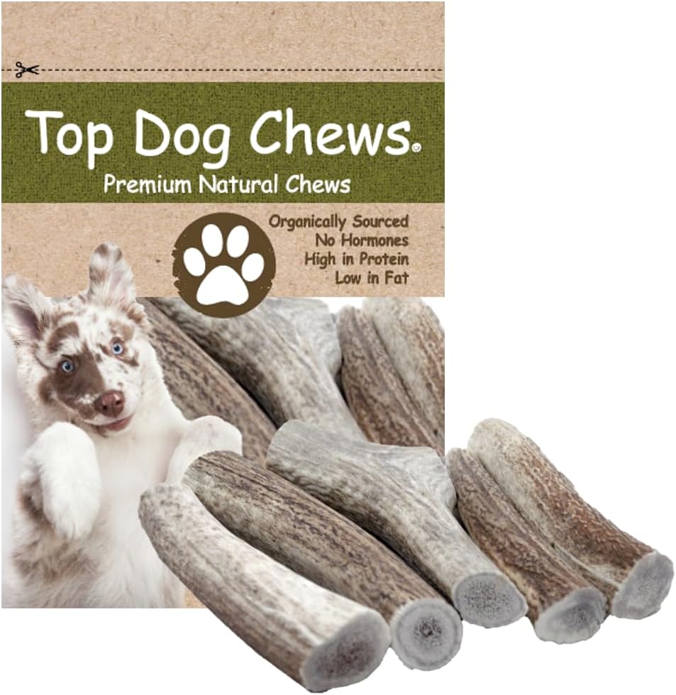 Top Dog Chews – USA Elk Antlers, Premium, Grade A, Thick, Elk Antlers for Extra Large, Large, or Medium Dogs, Natural, Long Lasting Dog Chew for Aggressive Chewers, 5 Pack