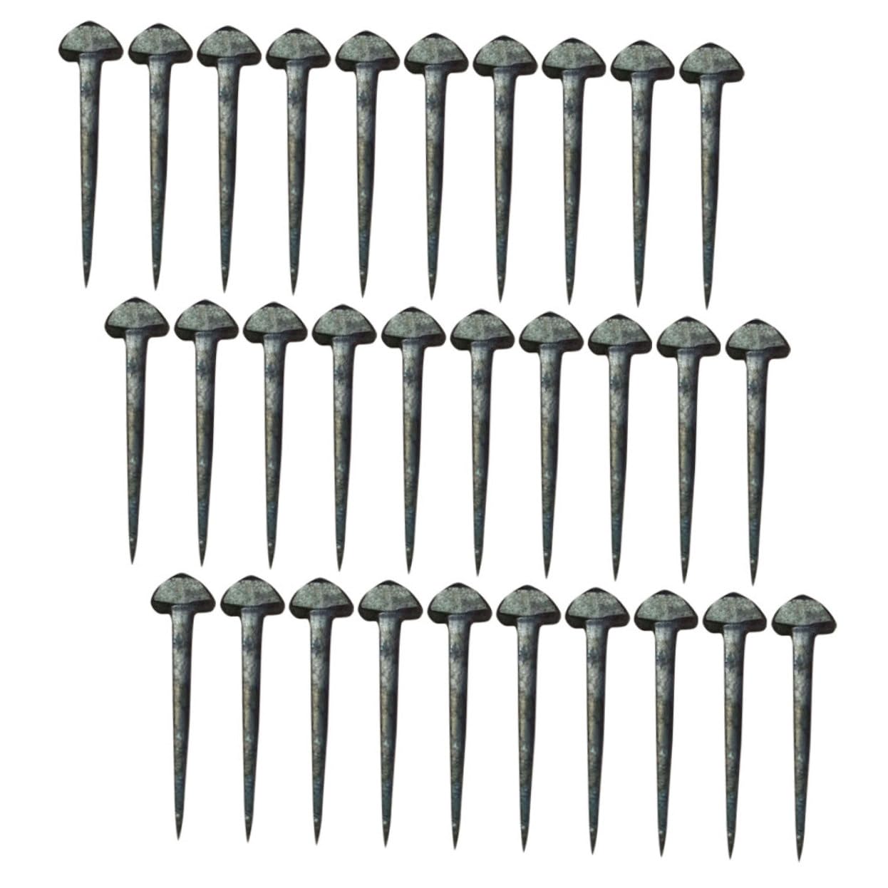 Yardwe Shoe Claw Nails for Horseshoe 50pcs Horseshoe Nail Set Equestrian Horseshoes Metal Nails for Horseshoe