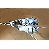 Product Photo 2