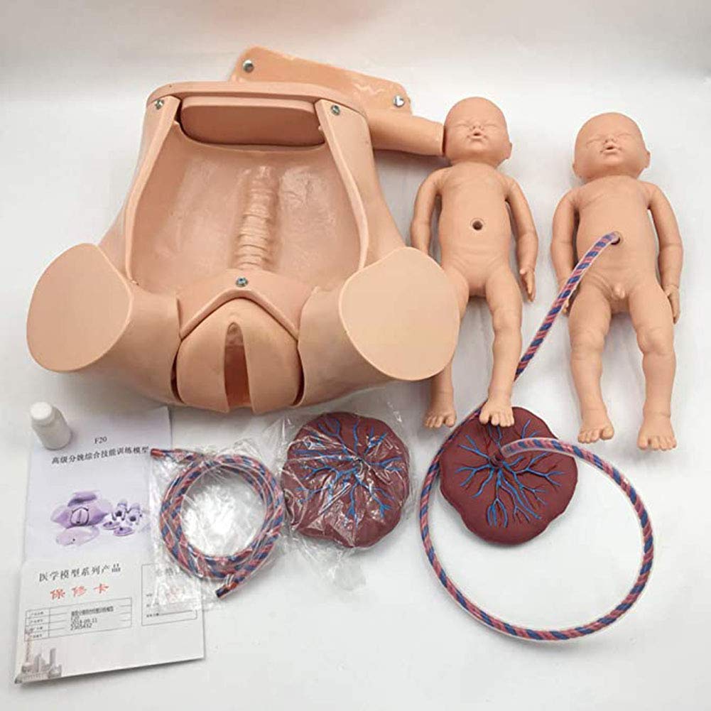 DBSCD Childbirth Model Train Simulator Birth Demonstration Set 