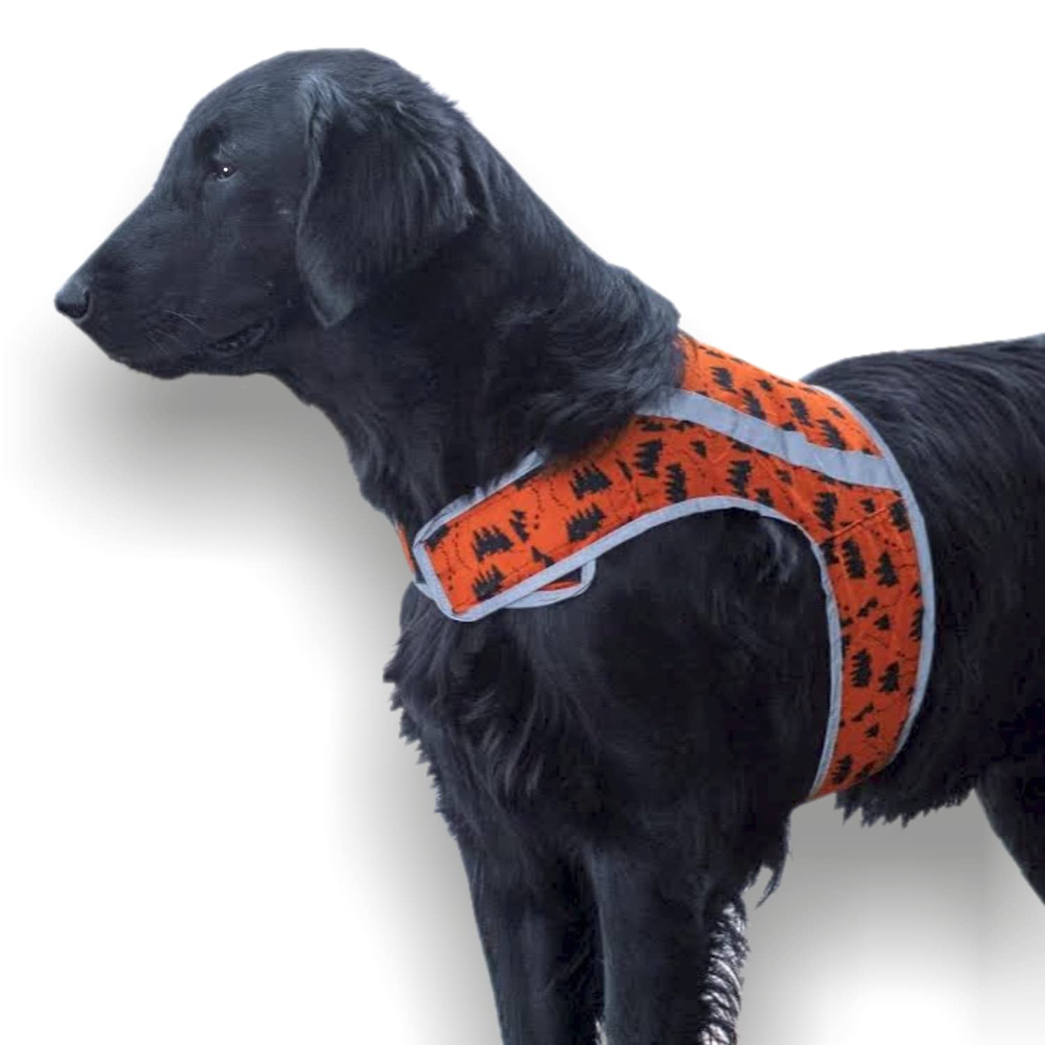 FinNero ATTE Forest Attention Reflective Vest for Dogs, M