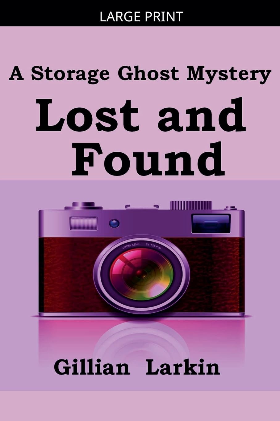 Lost And Found: 2 (Storage Ghost Mysteries)