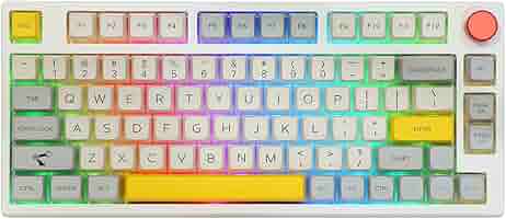 Amazon.com: EPOMAKER TH80 Pro 75% Hot Swap RGB 2.4Ghz