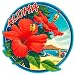 Hibiscus - Hawaiian Art Decal - Car Window Bumper Sticker