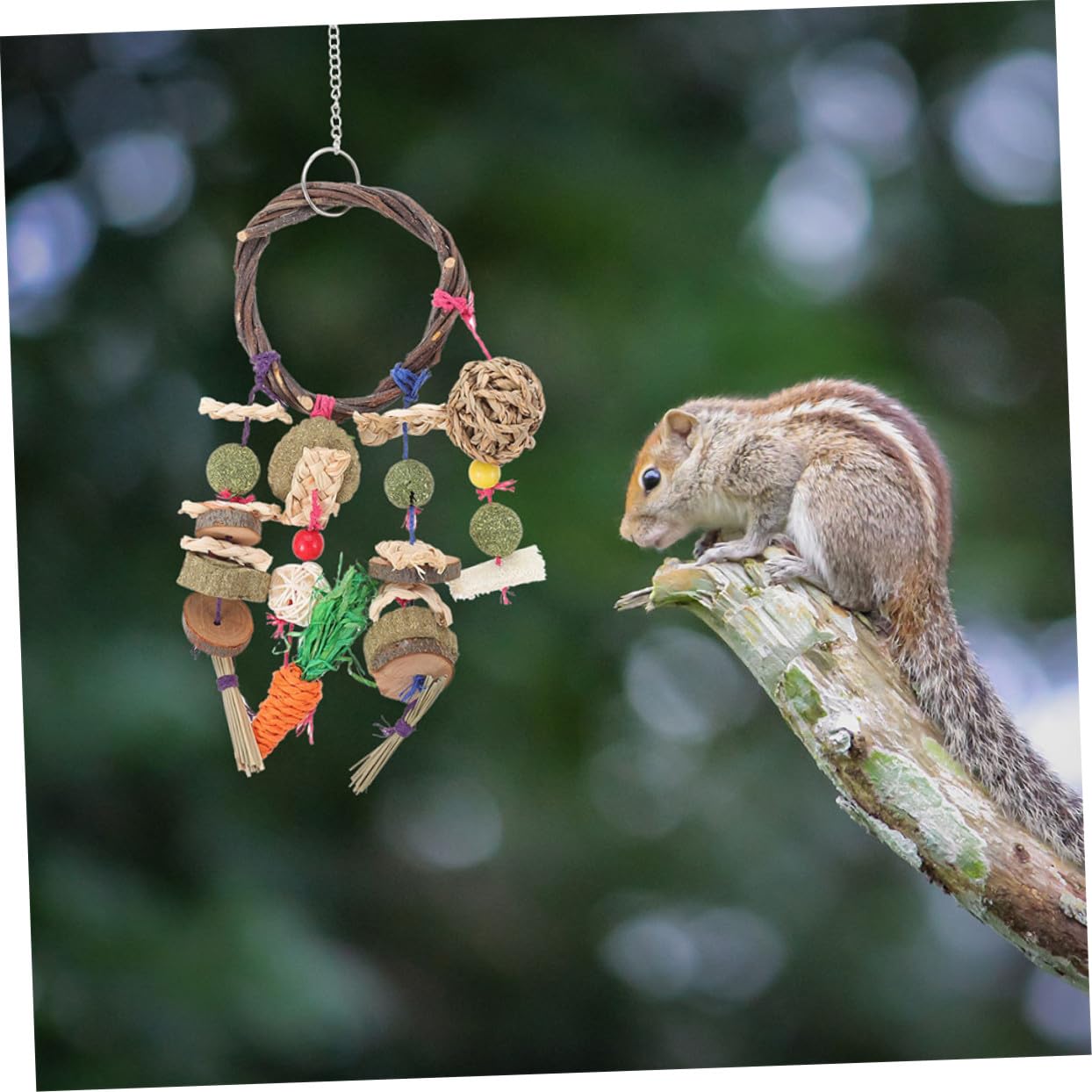 KOMBIUDA Hamsterspielzeug Geeignet 2 Stück zum Aufhängen Kauspielzeug zum Spielen und Zähne Schleifen für Hamster und Kaninchen bei Langeweile
