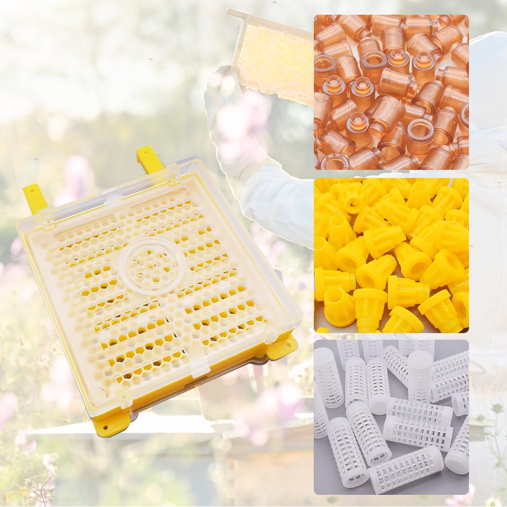 Kit complet d'élevage de reines - Incubateur d'abeille - Kit d'outils d'apiculture Queen Cell - Système d'élevage complet
