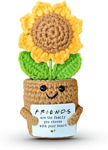 SOLVIBES Mini Sunflower Crochet Gift: A Thoughtful Keepsake for a Best Friend