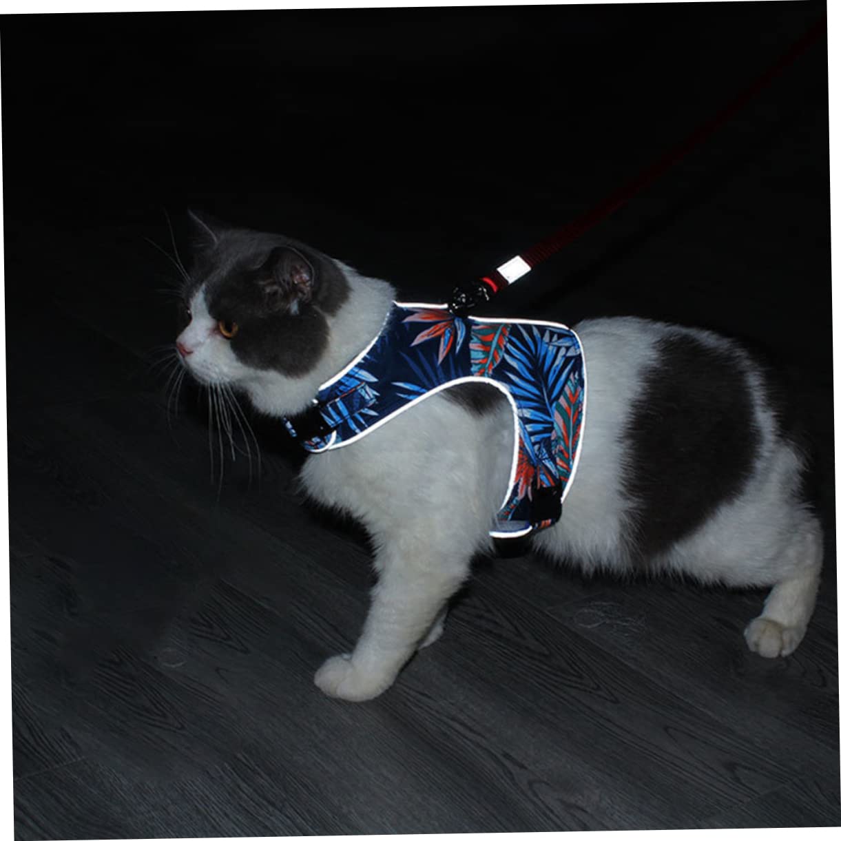 Kisangel 2juegos Arnés Antiescape para Gatos Reflectante Diseño De Transpirable para Paseos y Entrenamiento