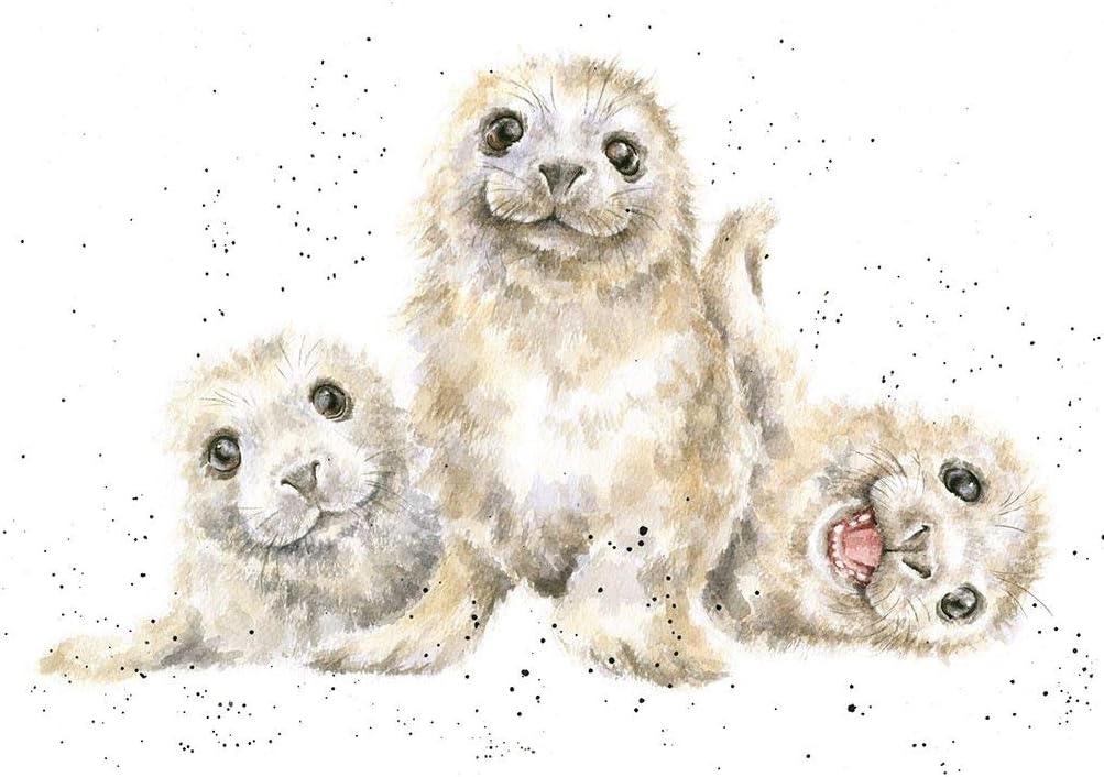 Wrendale Designs Greeting Card - SEAL OF APPROVAL (Seals)