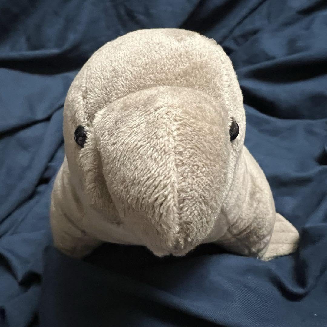 Amazon.co.jp: 大哺乳類展3 ミナミゾウアザラシ ぬいぐるみ タグ